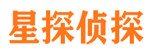 共青城市调查公司